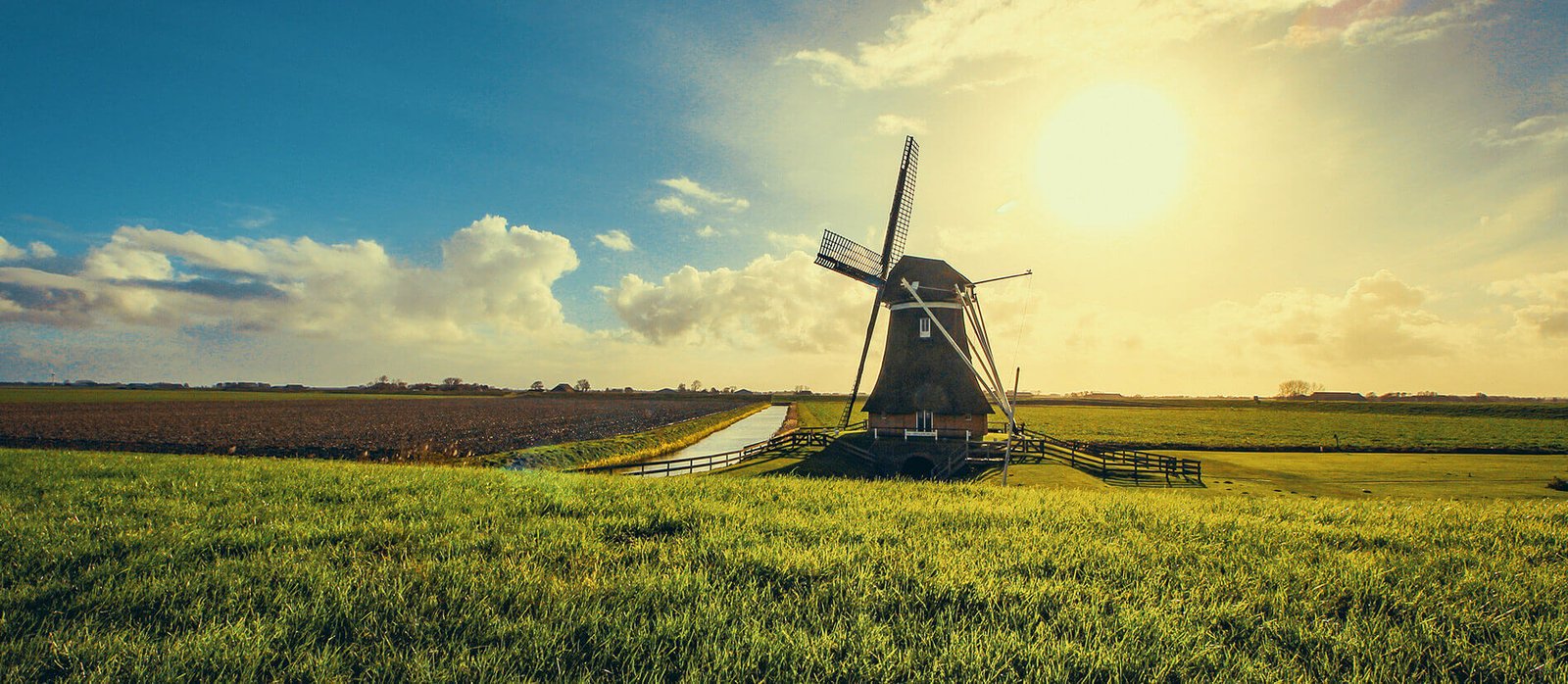 Nuovo Impianto di Irrigazione a Goccia ad Energia Solare